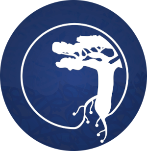 IndabaX Tunisia TUNISIA Higher School of Communication of Tunis
المدرسة العليا للمواصلات بتونس Tunisie Maroc algérie tn dz logo national competitions event club la robotique robotics IT robot autonome sumo suiveur eviteur d'obstacle tout terrain arduino program date sfax sousse tunis